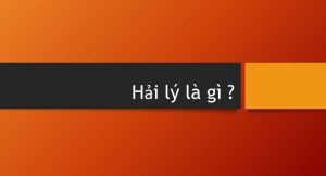 Một hải lý bằng bao nhiêu KM