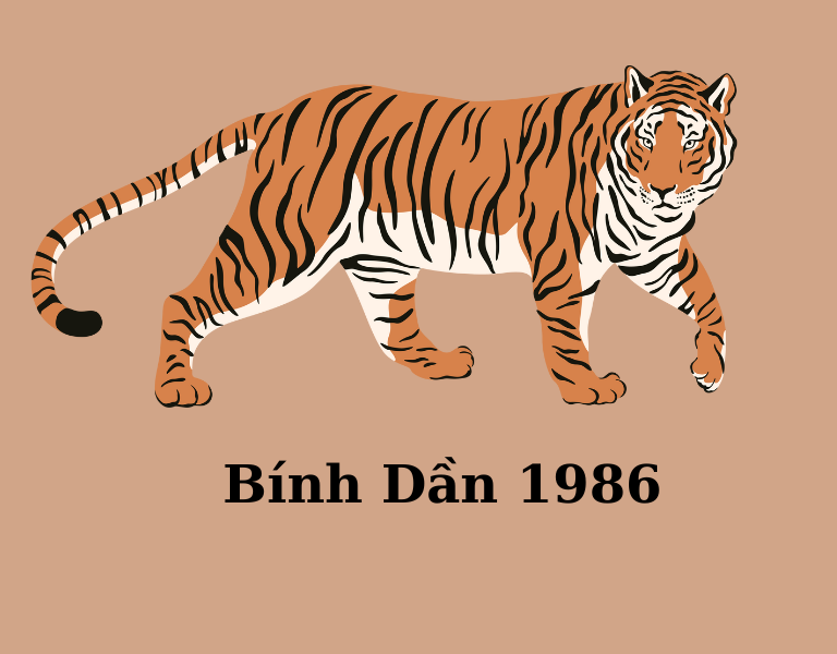1986 mệnh gì