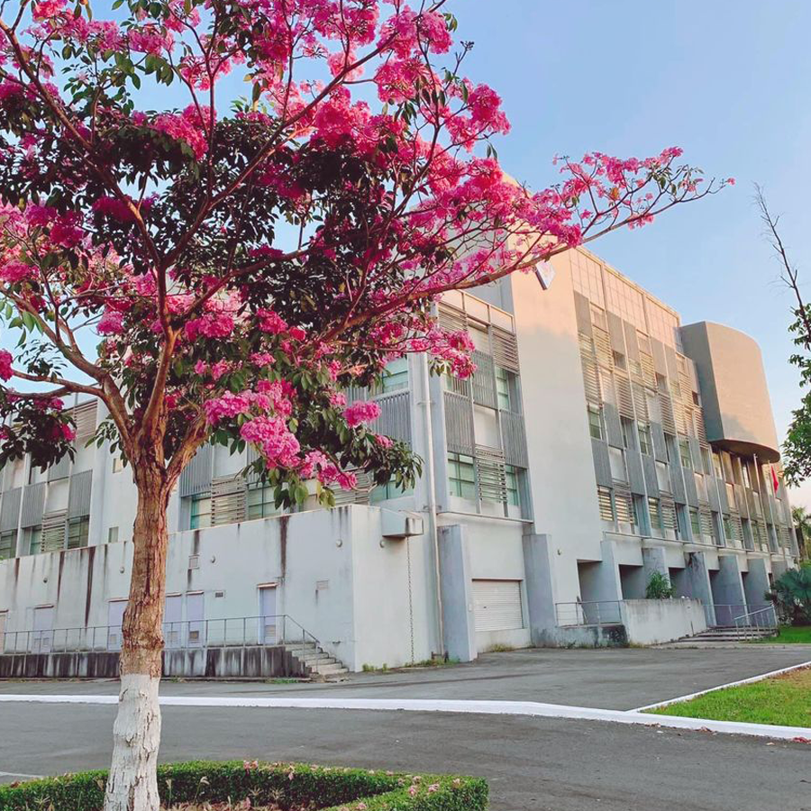 các trường đại học ở cần thơ