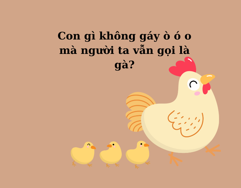 câu đố vui hại não