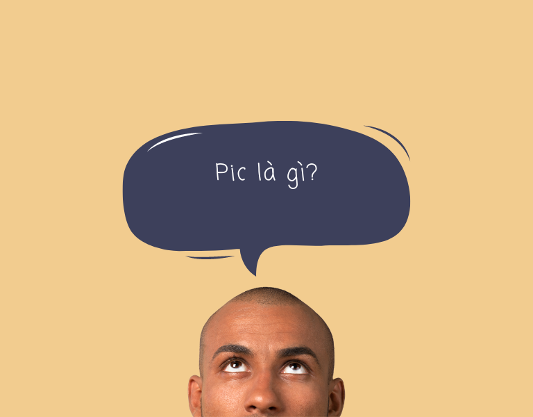 pic là viết tắt của từ gì