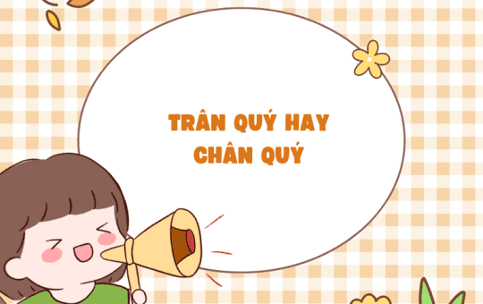 trân quý hay chân quý