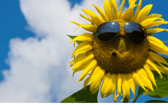 cap buồn đăng story