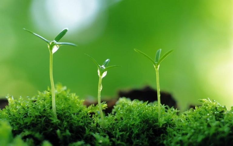 những câu nói hay về nhân cách sống
