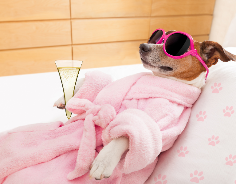 relax là gì