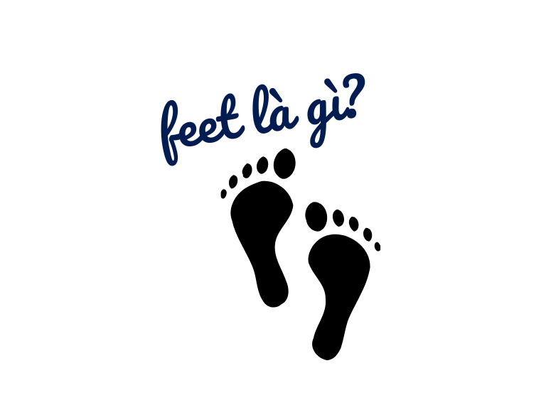 feet nghĩa là gì