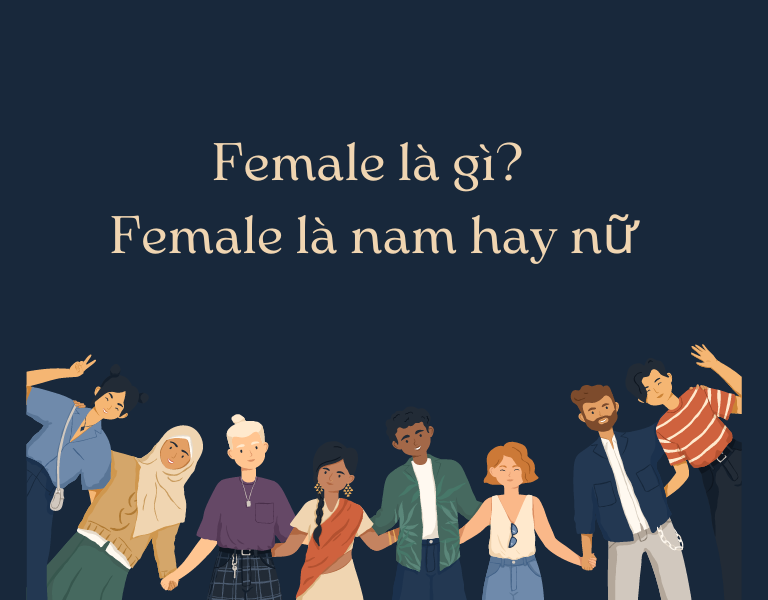 female là gì