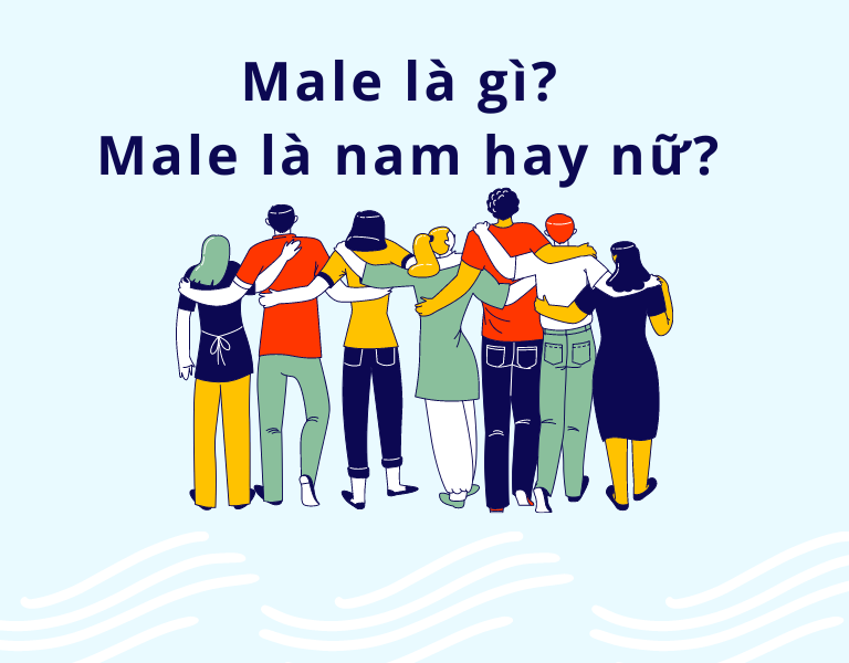 female là gì
