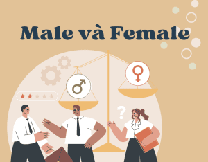 female là gì
