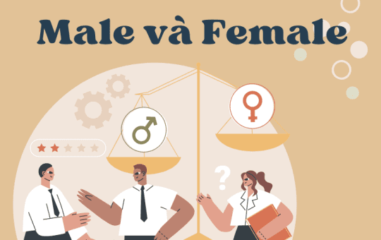 female là gì