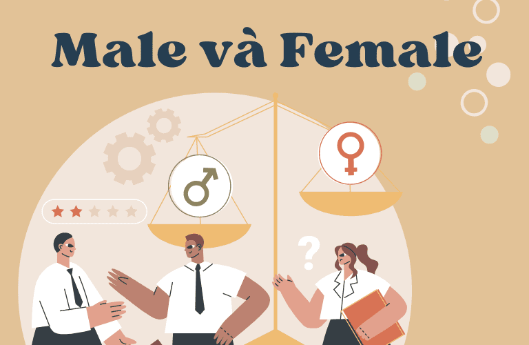 female là gì