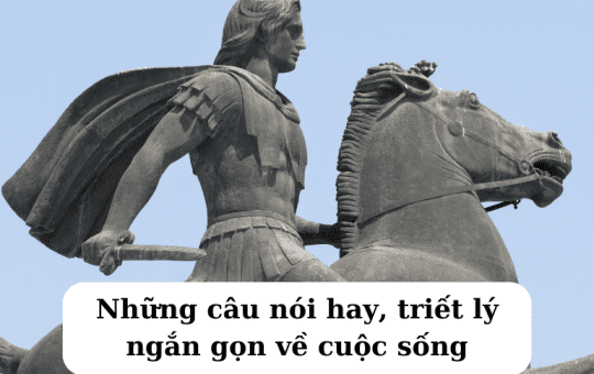 những câu nói hay ngắn gọn