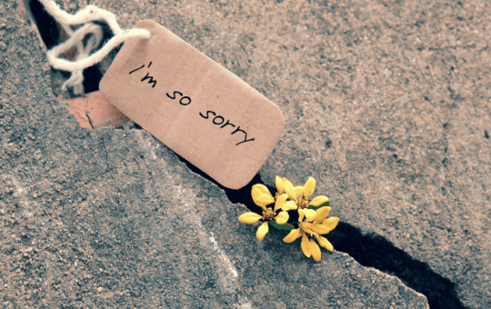 cách xin lỗi người yêu