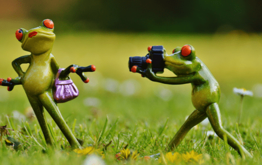 stt vui khi đăng ảnh